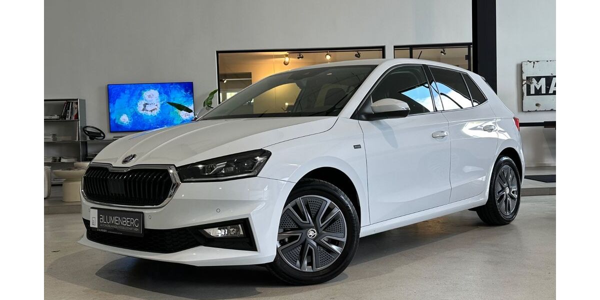 Skoda Fabia 36.809 km 19.980 &euro; Rodgau-Weiskirchen/nähe Frankfurt am Main 63110