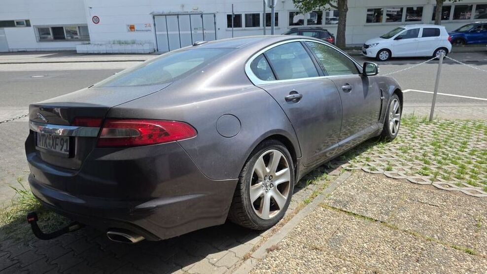 XF