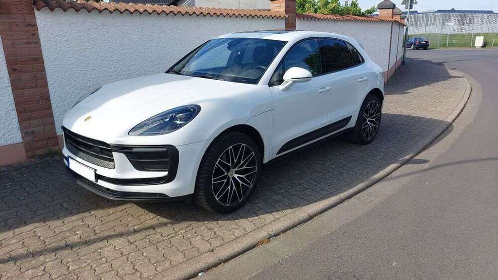Macan