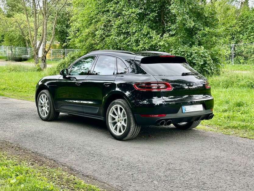 Macan
