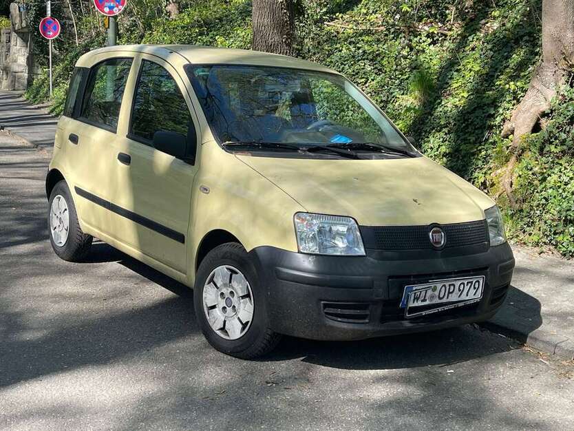 Panda