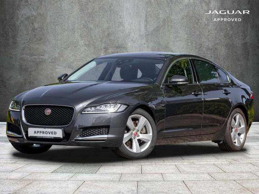 XF