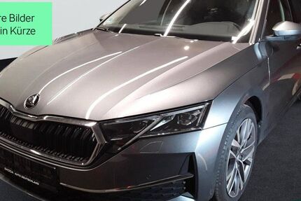 Skoda Octavia 2.000 km 34.449 € Mühlheim 63165