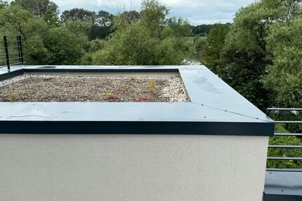 Doppelhaushälfte im Loft-Style mit Blick auf den Main 4.5 zimmer