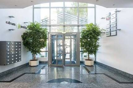 Großer Büroraum im EG zu vermieten zimmer