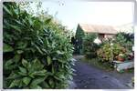 Doppelhaushälfte Rodgau Jügesheim - 8 Zimmer, 175 m&sup2;, 499.000&euro; | Angebot:25663047
