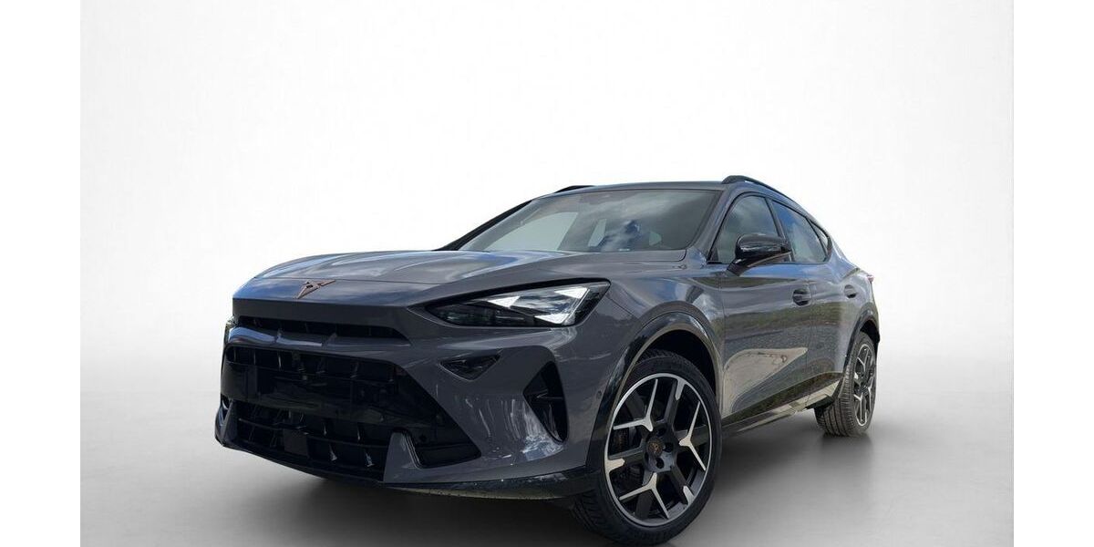 Cupra Formentor 3.689 km 41.700 &euro; Friedberg 61169