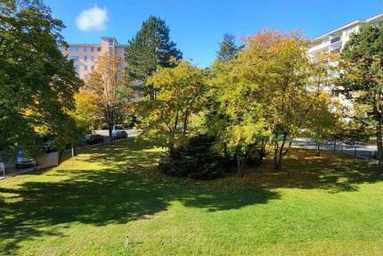 Helle 3-Zi.-Whg. + Küche in Gravenbruch, 1. OG, frei ab 0226, renoviert, prov.-frei!! 3 zimmer