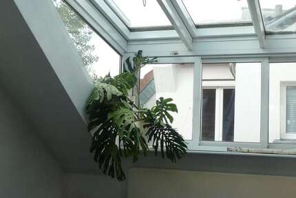 Wohnung zum Kaufen in Darmstadt 298.000 € 94 m² 3 zimmer