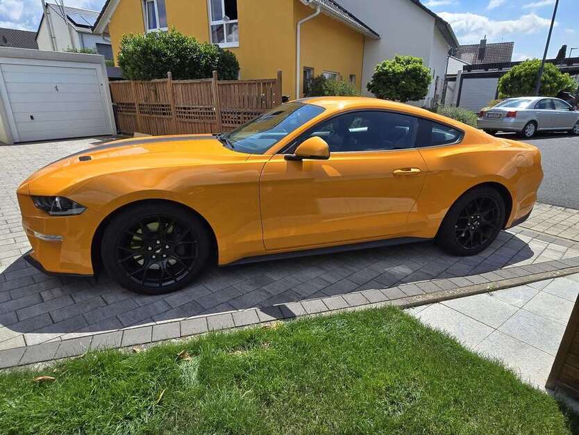 Mustang