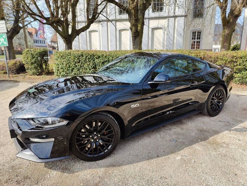 Mustang