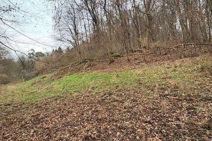 Grundstück in Johannesberg-Steinbach 69.000 € 4000 m² zimmer