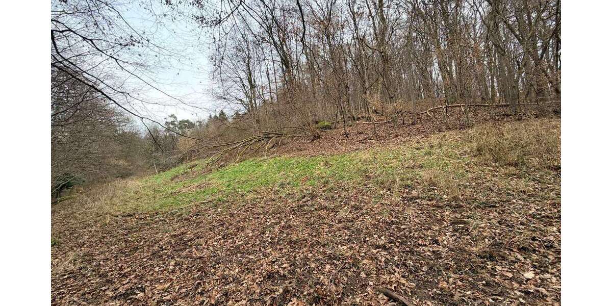 Grundstück in Johannesberg-Steinbach 69.000 € 4000 m² zimmer