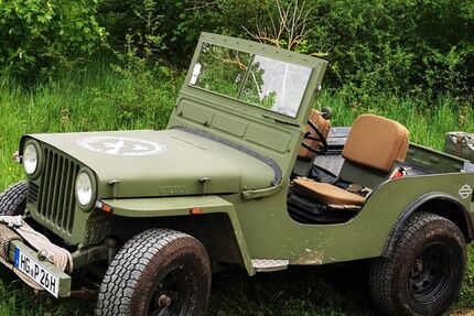 Jeep Willys 68.060 km 14.700 € Schmitten 61389