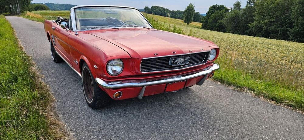 Mustang