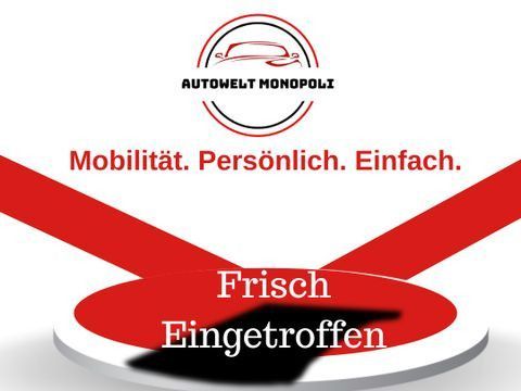 Renault Kangoo 161.100 km 4.180 &euro; Groß-Umstadt 64823