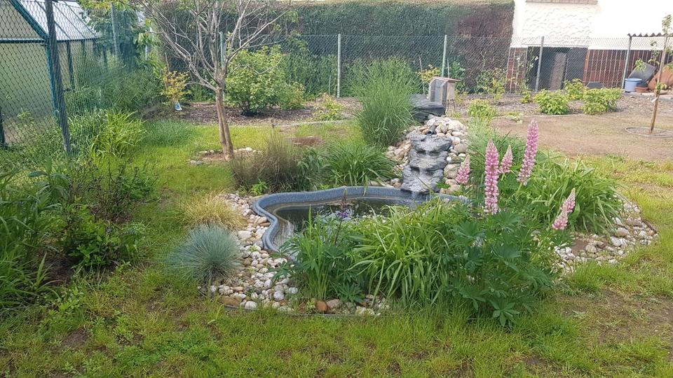 Doppelhaushälfte in Arheilgen von privat 6 zimmer