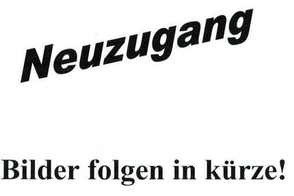 Fiat Punto 100.000 km 4.290 € Hattersheim 65795