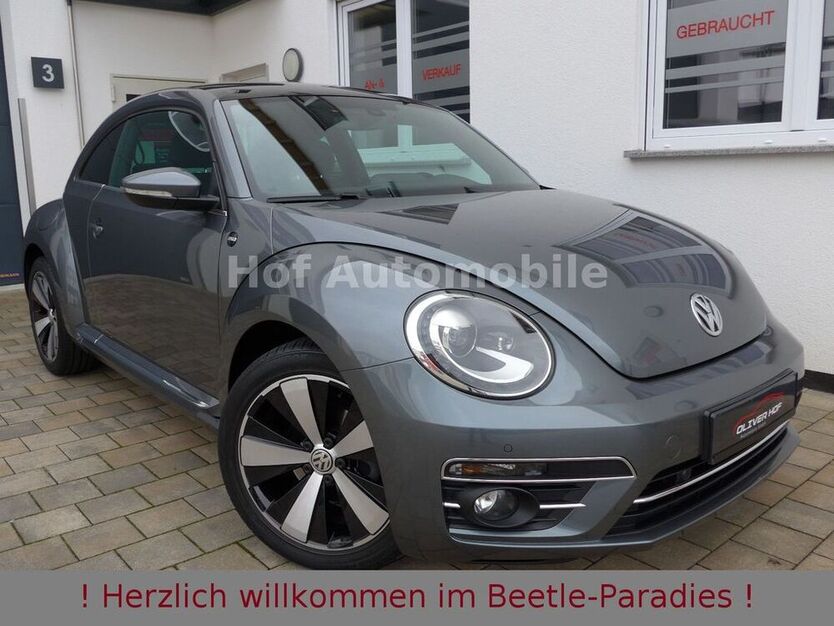 Beetle