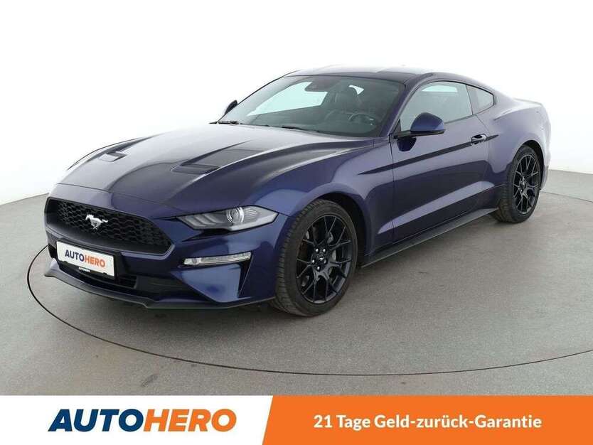 Mustang
