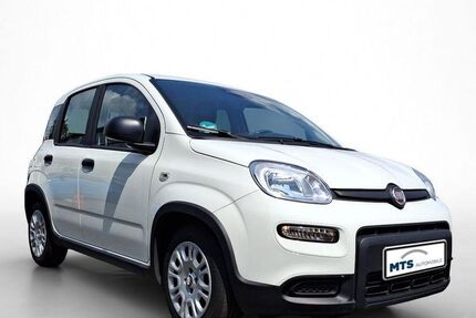 Fiat Panda 12.000 km 12.460 &euro; Oberursel 61440