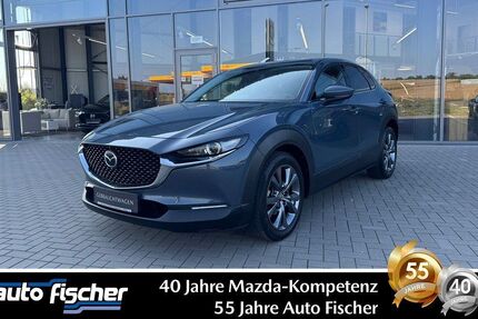 Mazda CX-30 23.825 km 26.990 € Karben 61184
