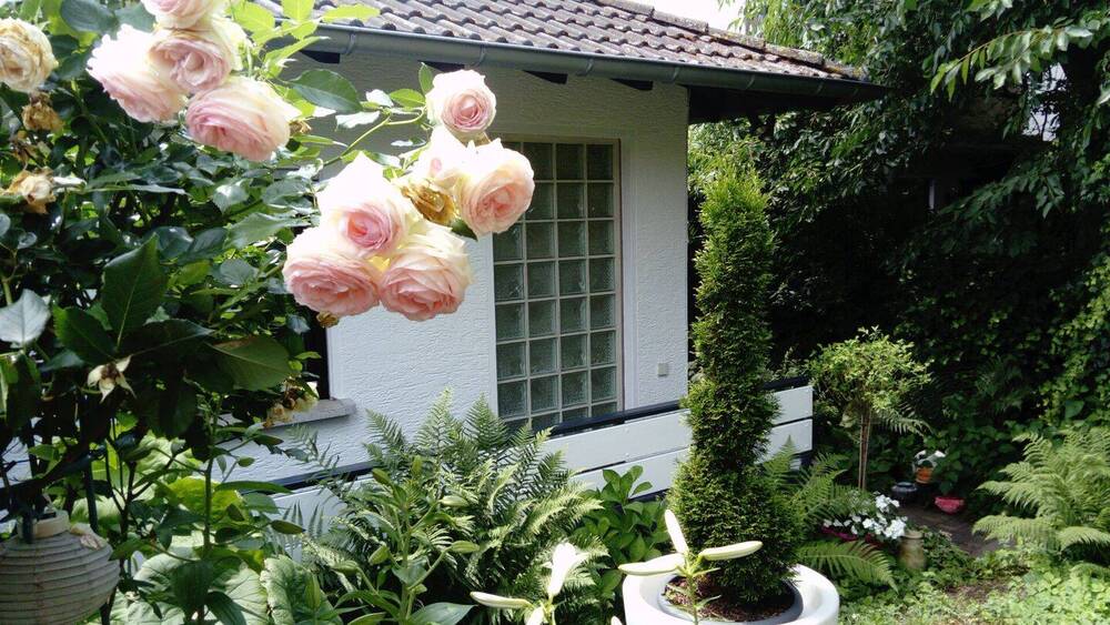 Einfamilienhaus Bad Soden am Taunus / Neuenhain Neuenhain - 4 Zimmer, 169 m&sup2;, 898.000&euro; | Angebot:25958116