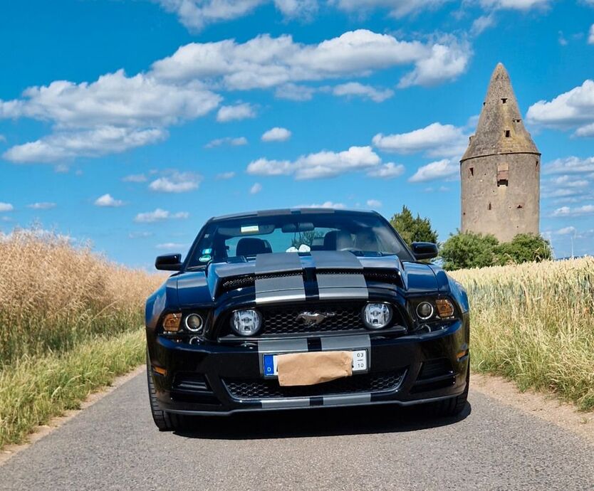 Mustang