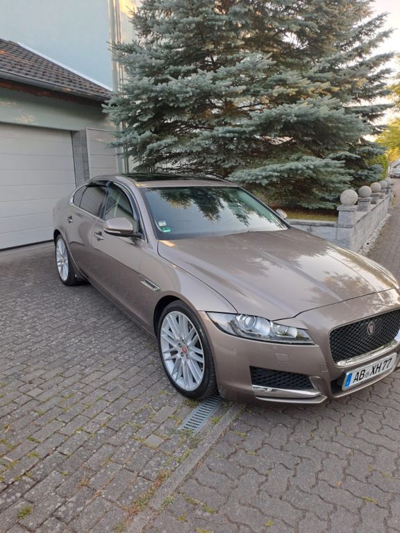 XF
