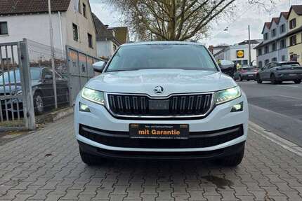 Skoda Kodiaq 230.000 km 17.950 &euro; Offenbach 63071