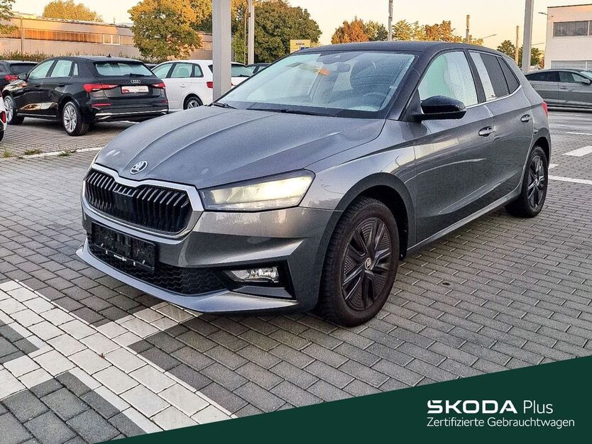 Skoda Fabia 49.200 km 16.888 € Mühlheim 63165