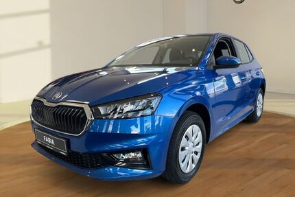 Skoda Fabia 3.970 km 27.900 &euro; Weiterstadt 64331