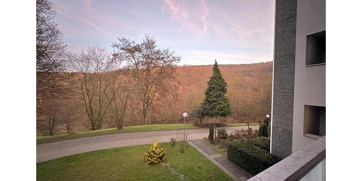 Große und helle 2 Zimmerwohnung mit Balkon und Aussicht auf die Natur 2.5 zimmer