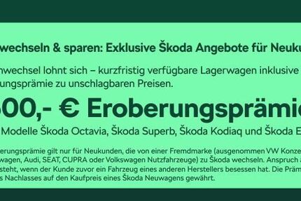 Skoda Enyaq 12.000 km 47.480 &euro; Frankfurt 60435