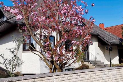 Toplage Erzhausen: schöne, freist. Villa (2-FH) am Feldrand