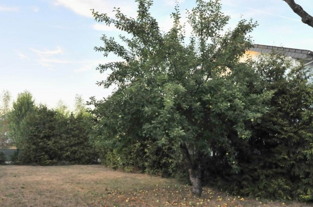 EFH mit großem Grundstück bei Darmstadt - Einfamilienhaus Darmstadt Arheilgen | Angebot:19800054