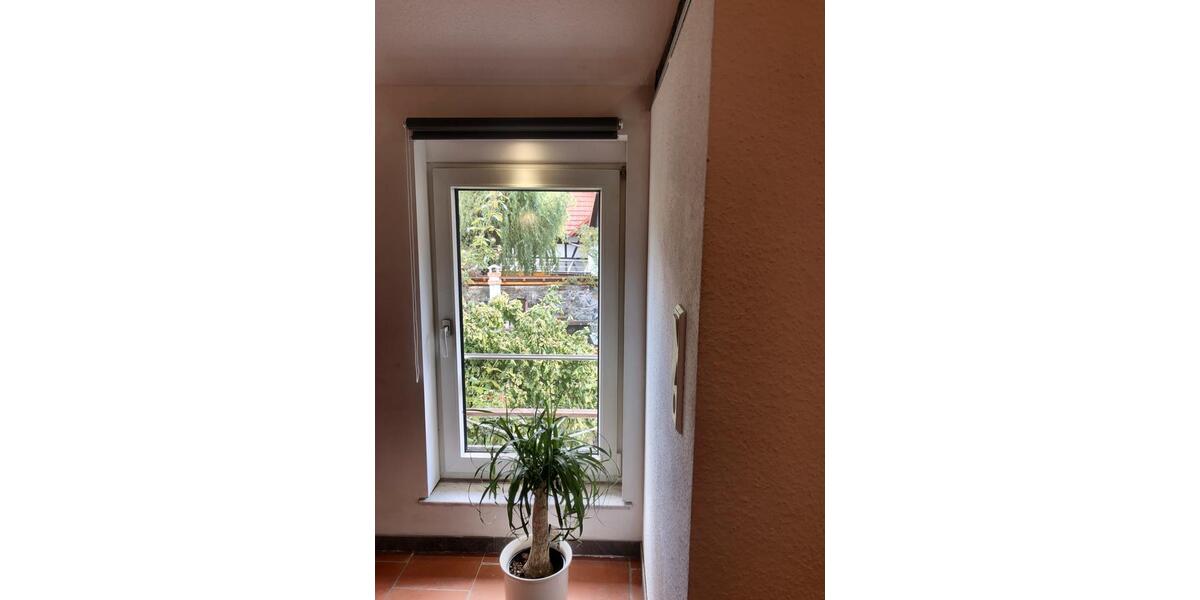 Etagenwohnung Roßdorf - 2 Zimmer, 43 m&sup2;, 750&euro; | Angebot:26309864