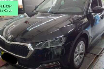 Skoda Octavia 80.338 km 20.930 € Hofheim Am Taunus 65719