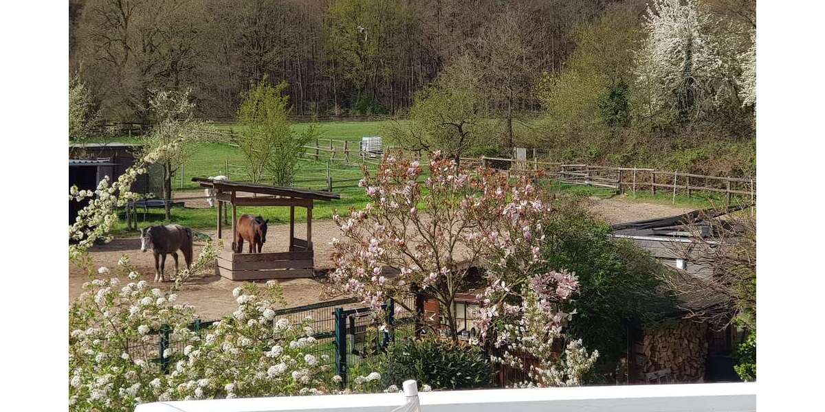 Wohnung zum Mieten in Dreieich 2.000 € 144 m² - Etagenwohnung Dreieich | Angebot:26095193