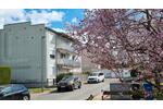Etagenwohnung Bad Homburg vor der Höhe Gonzenheim - 3 Zimmer, 70 m&sup2;, 279.000&euro; | Angebot:26815401