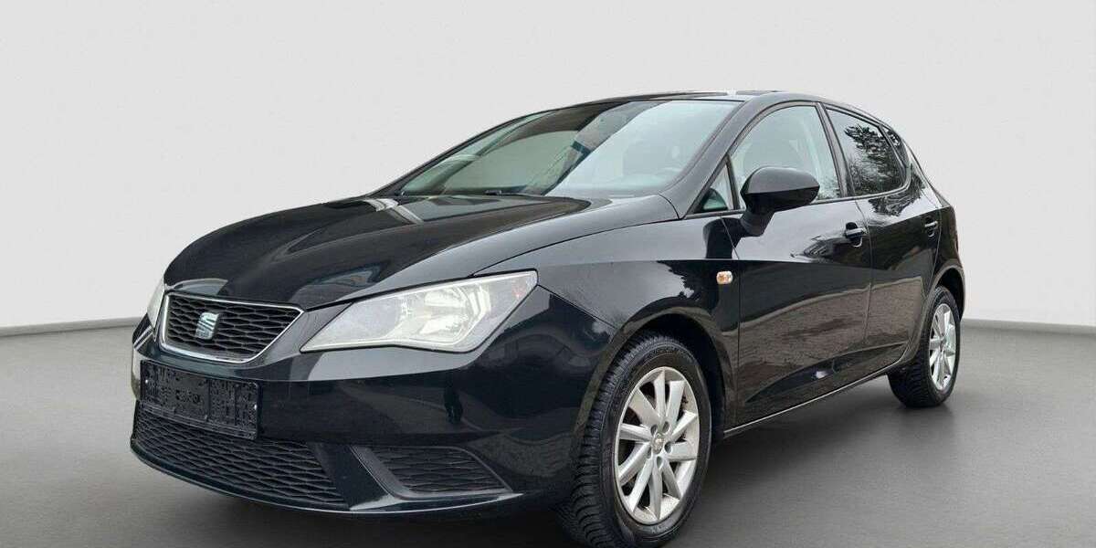 Seat Ibiza 124.000 km 4.900 &euro; Hofheim am Taunus 65719