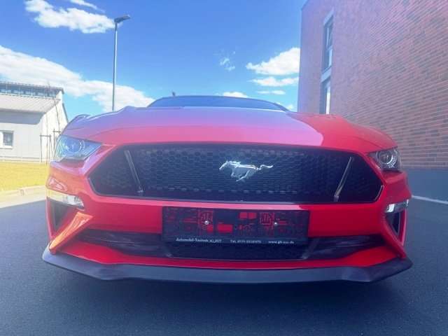 Mustang