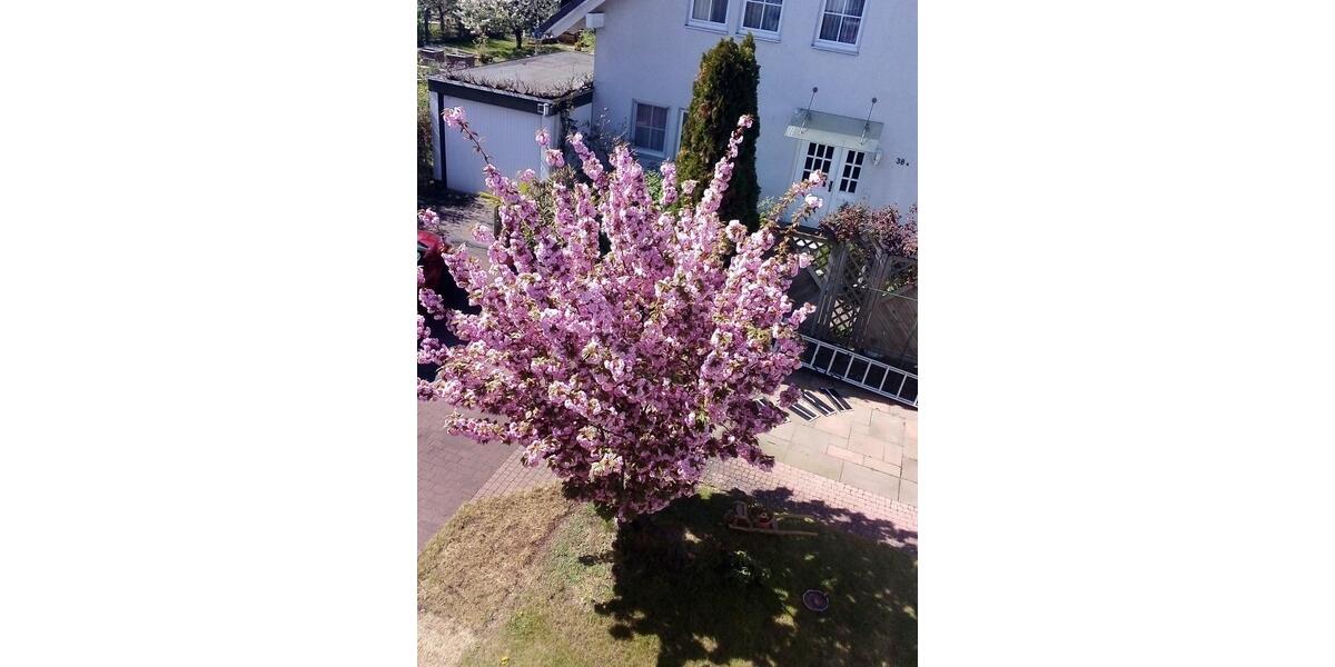 Einfamilienhaus Weiterstadt - 6.5 Zimmer, 178 m&sup2;, 599.900&euro; | Angebot:25923294