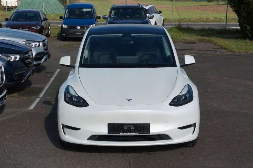 Model Y