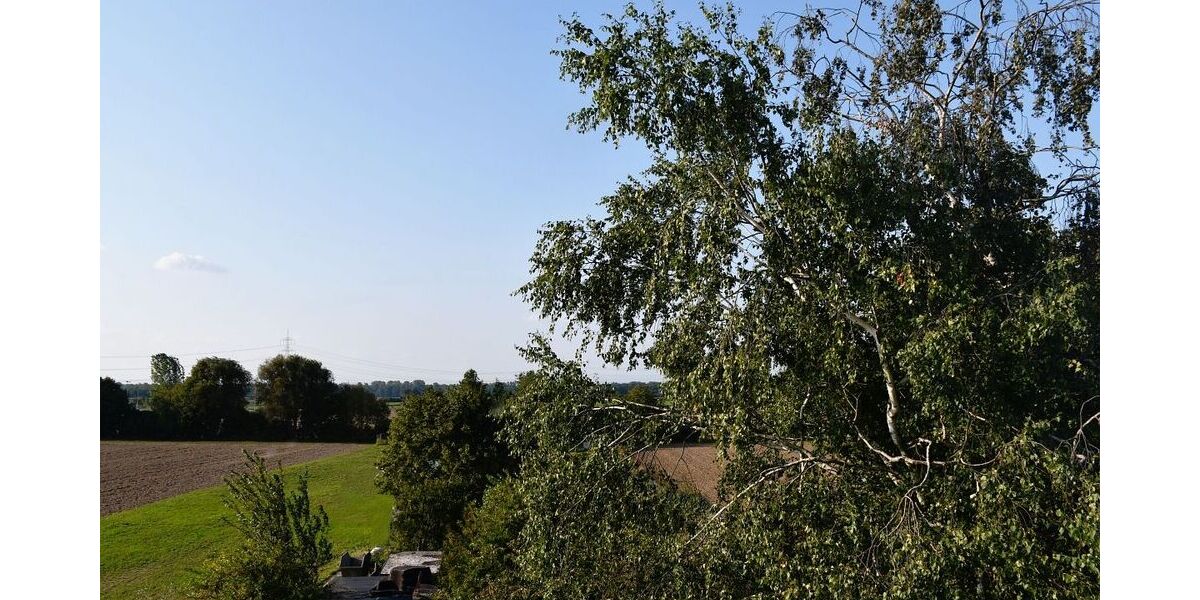 Attraktives Wohnhaus mit Einliegerwohnung für die große Familie - Einfamilienhaus Weiterstadt-Schneppenhausen Weiterstadt | Angebot:17480865