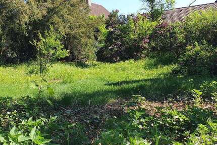 Grundstück zu verkaufen in Rodenbach 429.000 € 1116 m² zimmer