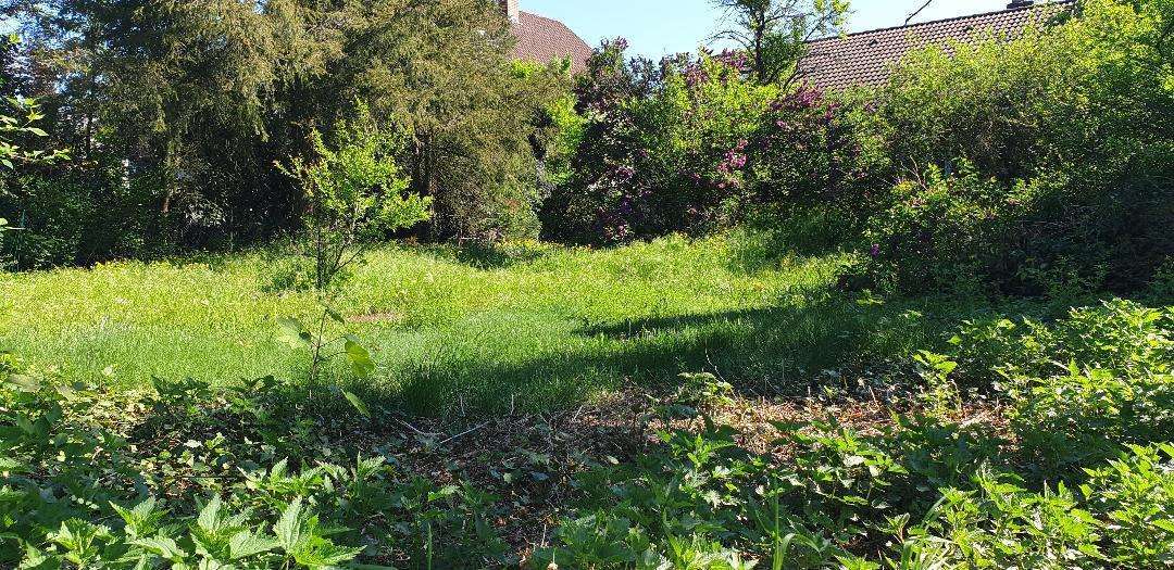 Grundstück zu verkaufen in Rodenbach 429.000 € 1116 m² zimmer