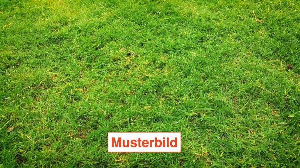 Grundstück zu verkaufen in Bad Nauheim 380.000 € 709 m²