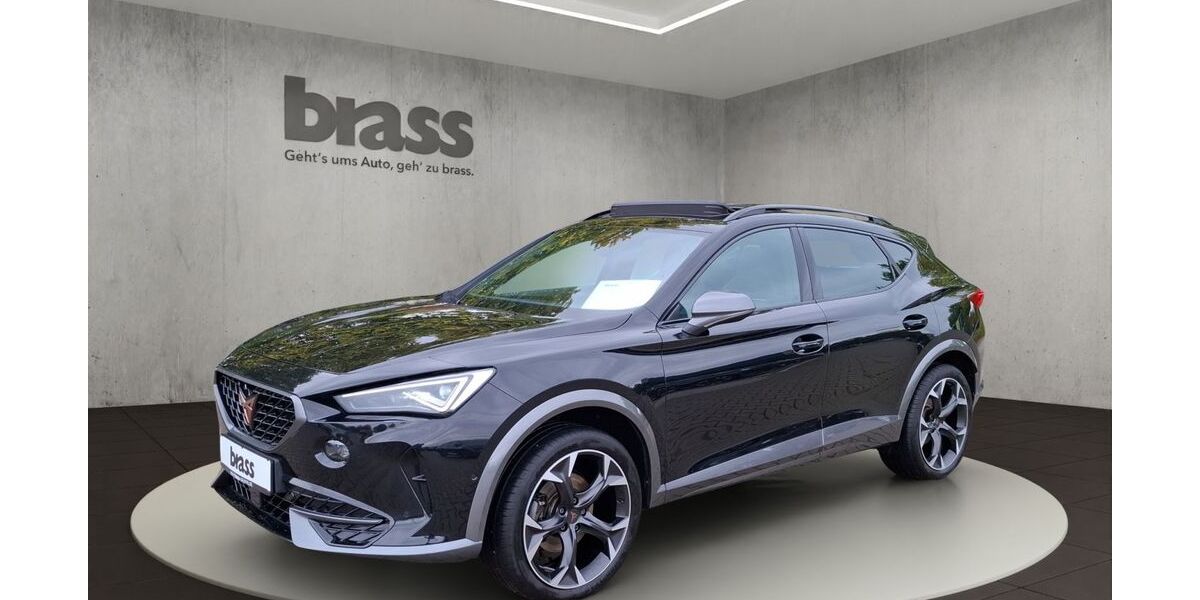 Cupra Formentor 90.860 km 24.880 &euro; Frankfurt 60488