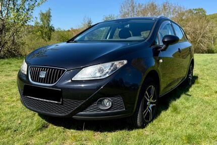 Seat Ibiza 164.000 km 3.500 &euro; Schmitten 61389